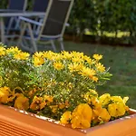 شقة Giardino E Piscina