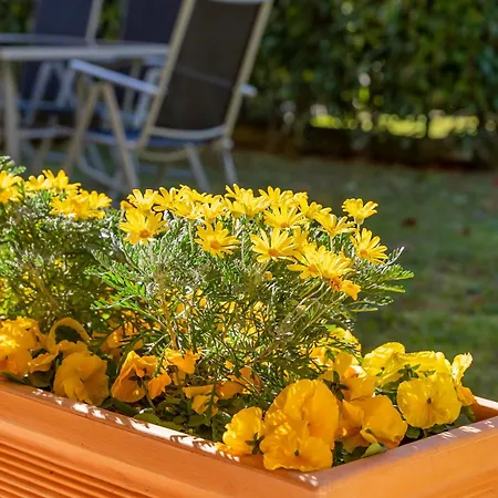 아파트 Giardino E Piscina