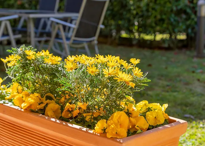 Apartmán Giardino E Piscina