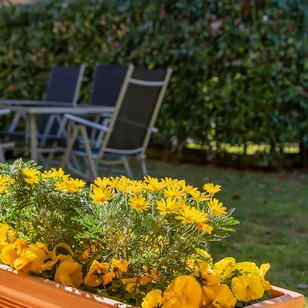 Giardino E Piscina Daire *